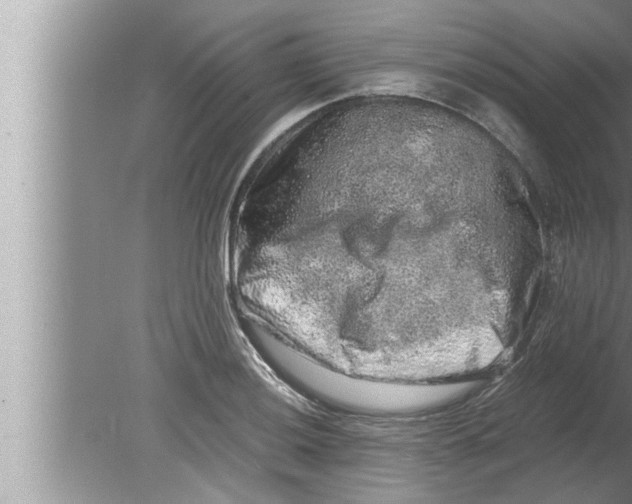 X0000080161036200612302148