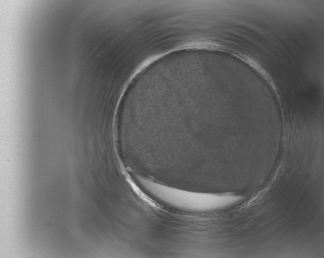 X0000080161037200612302148