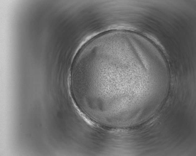 X0000080161040200612302148