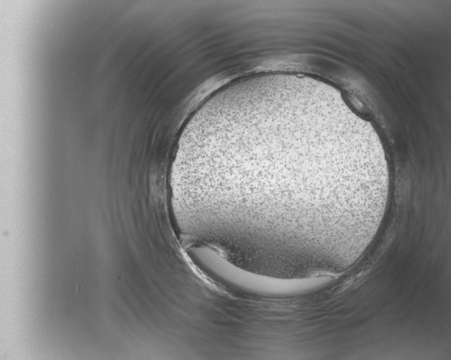 X0000080161041200612302148