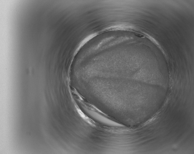 X0000080161042200612302148