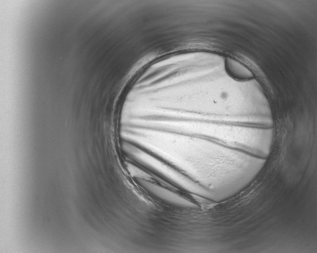 X0000080161043200612302148