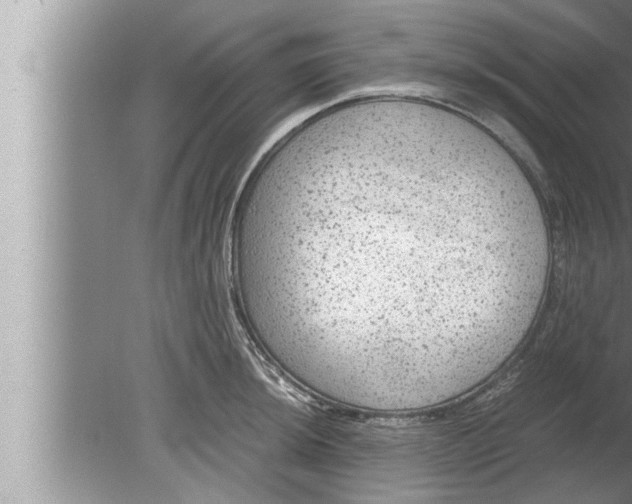 X0000080161044200612302148