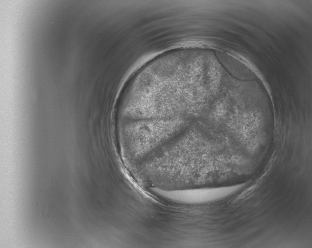 X0000080161045200612302148