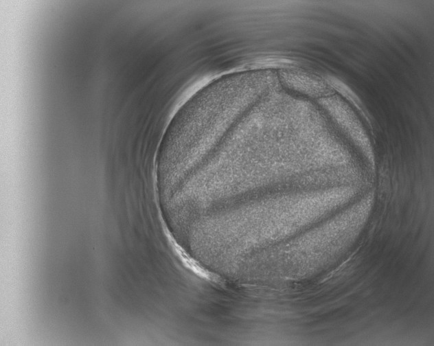 X0000080161047200612302148