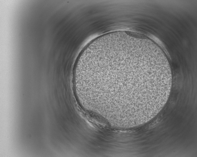 X0000080161051200612302148