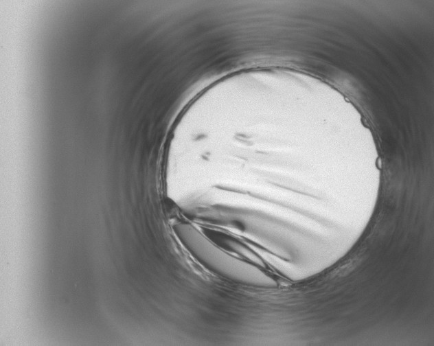 X0000080161052200612302148