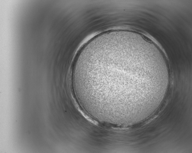 X0000080161053200612302148