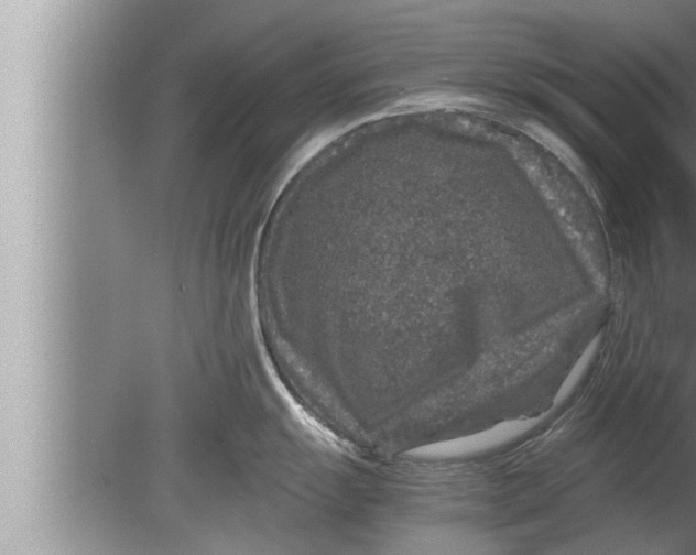 X0000080161055200612302148