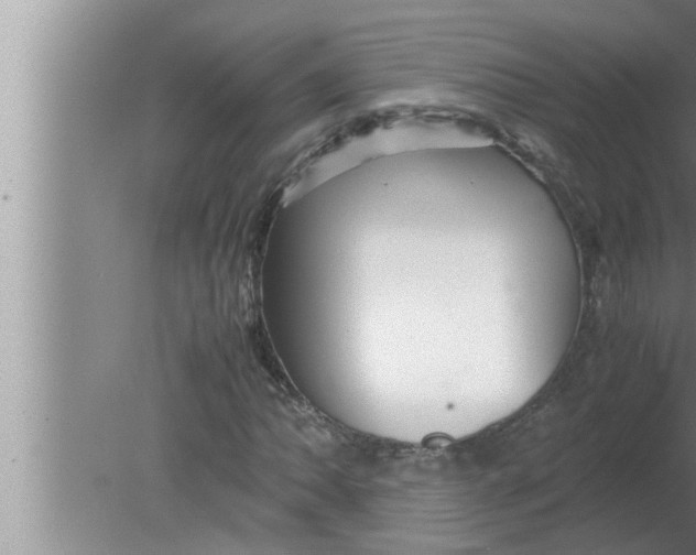 X0000080161062200612302148