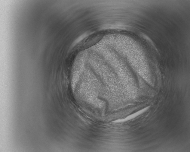 X0000080161064200612302147