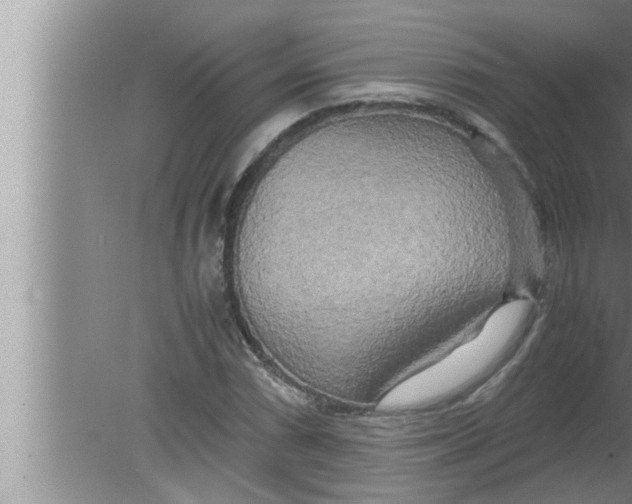 X0000080161066200612302147