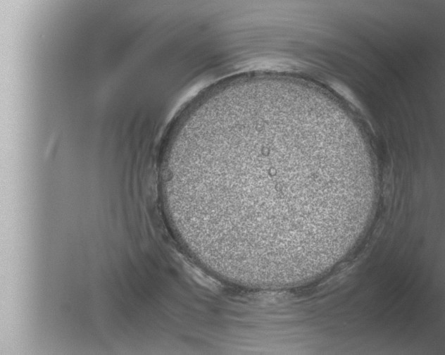 X0000080161067200612302147