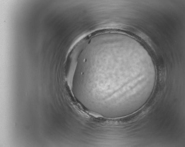 X0000080161069200612302147