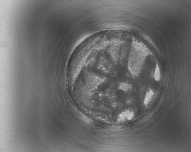 X0000080161071200612302147