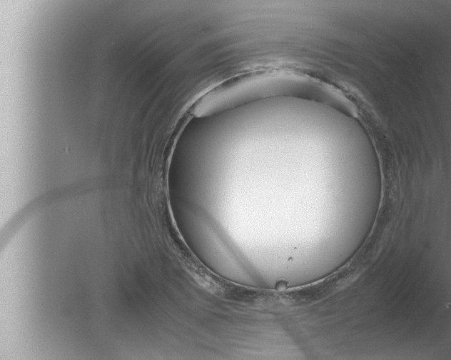 X0000080161073200612302147