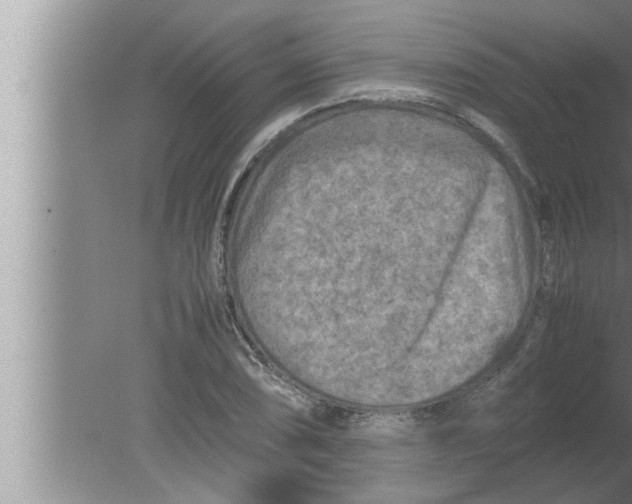 X0000080161074200612302147