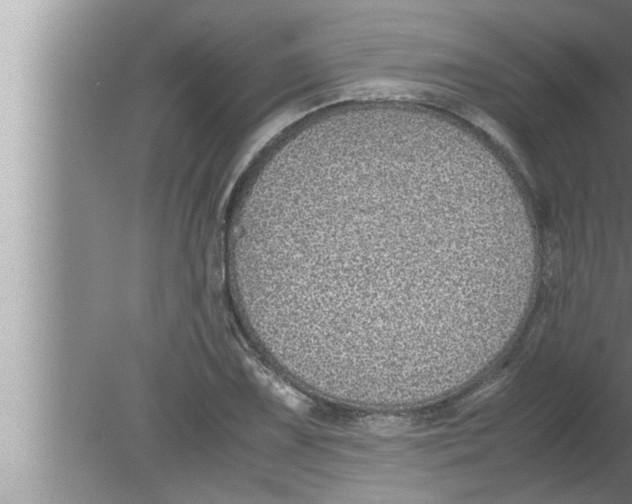 X0000080161075200612302147