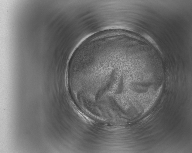 X0000080161076200612302147