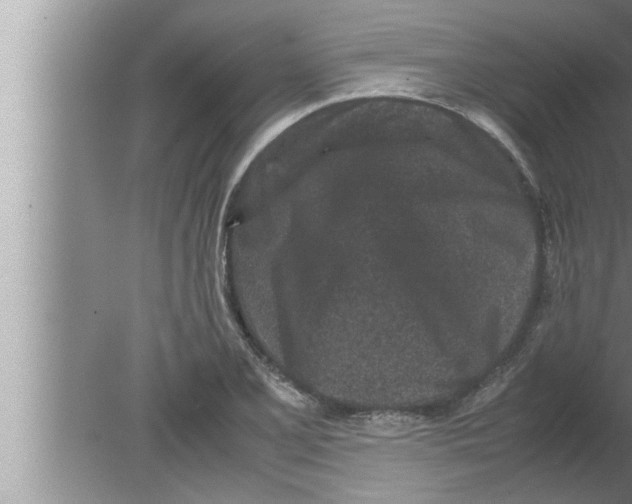 X0000080161077200612302147