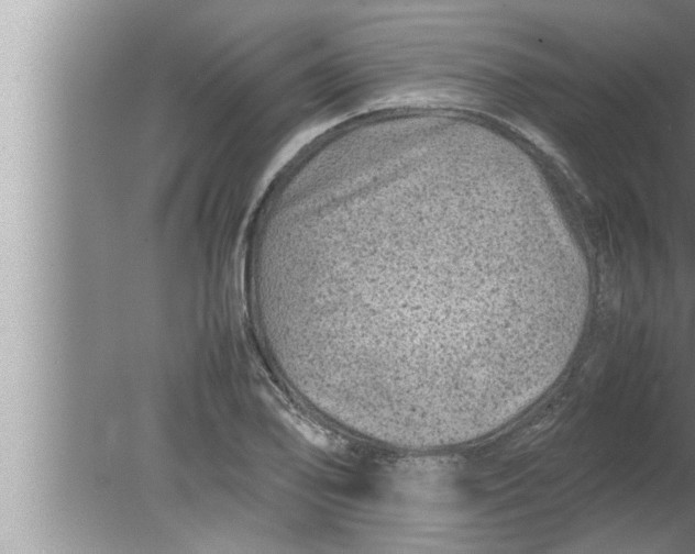 X0000080161078200612302147