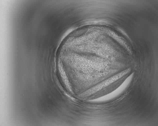 X0000080161079200612302147