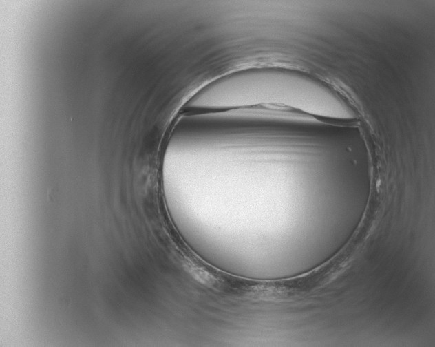 X0000080161081200612302147