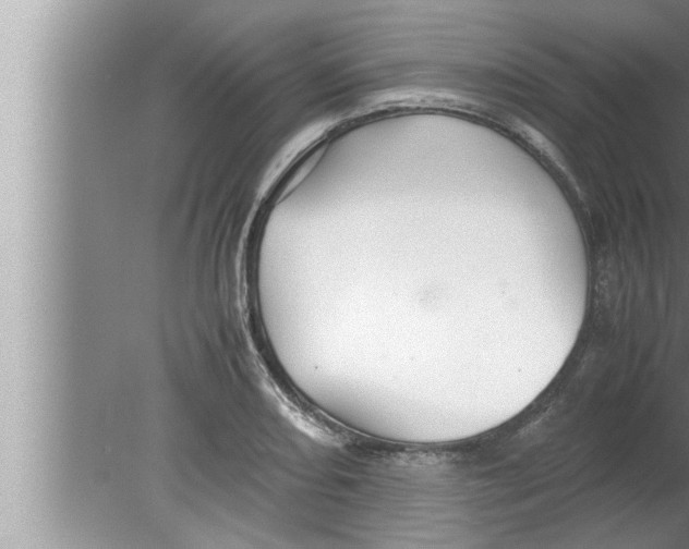 X0000080161082200612302147