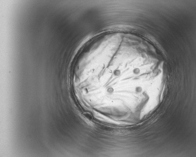 X0000080161083200612302147