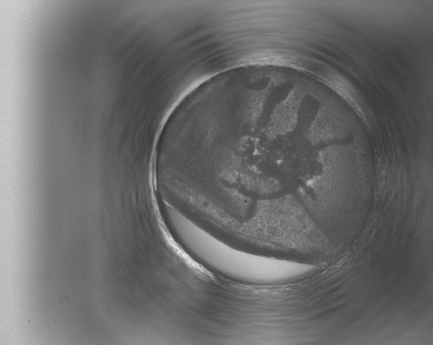 X0000080161084200612302147