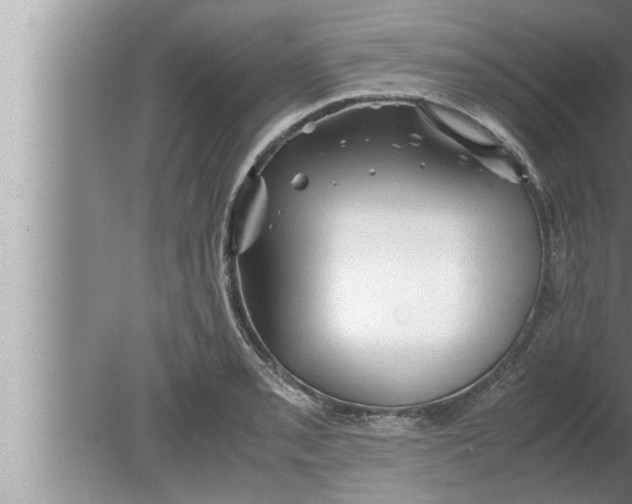 X0000080161085200612302147