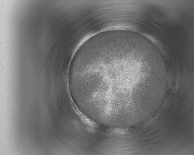 X0000080161086200612302147