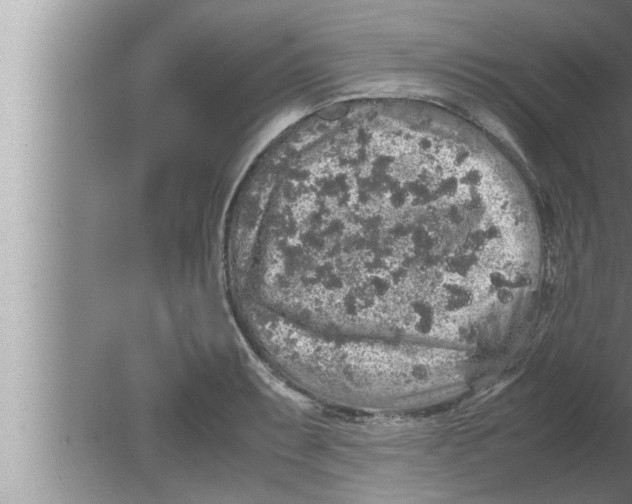 X0000080161087200612302147