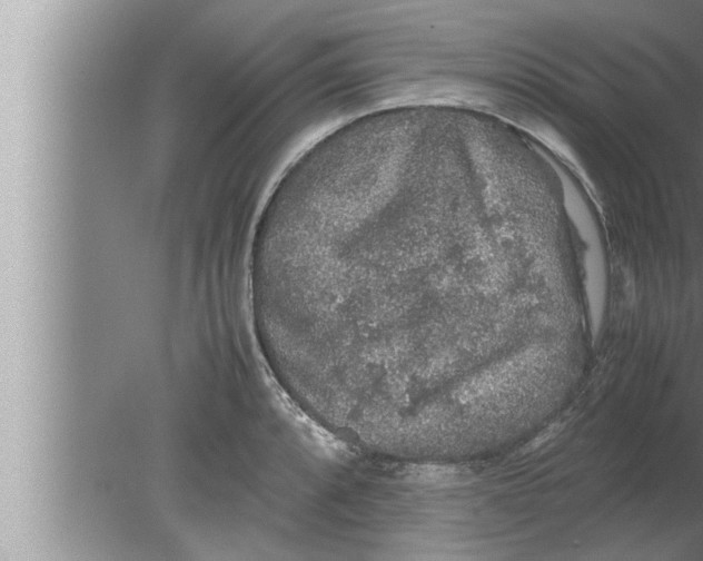 X0000080161088200612302147