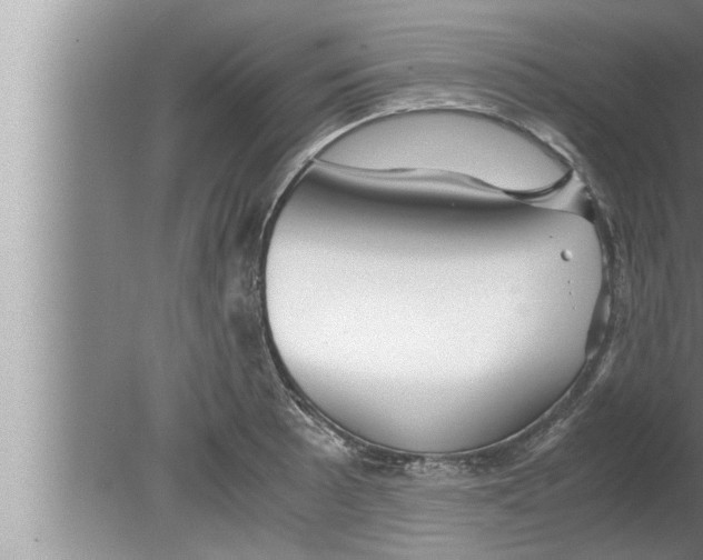 X0000080161089200612302147