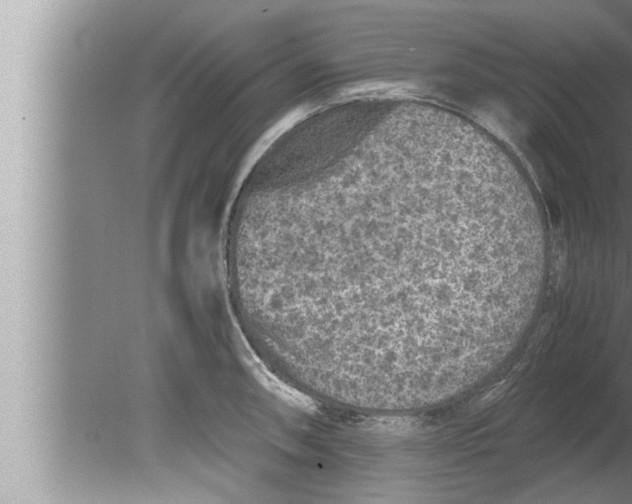 X0000080161090200612302147