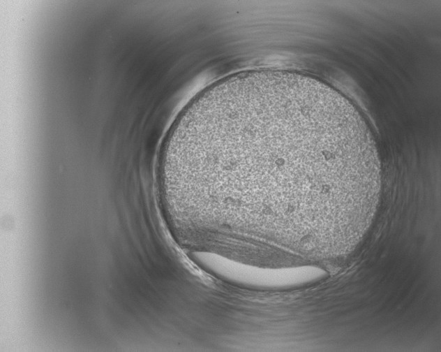 X0000080161091200612302147