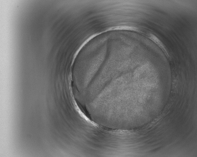 X0000080161092200612302147