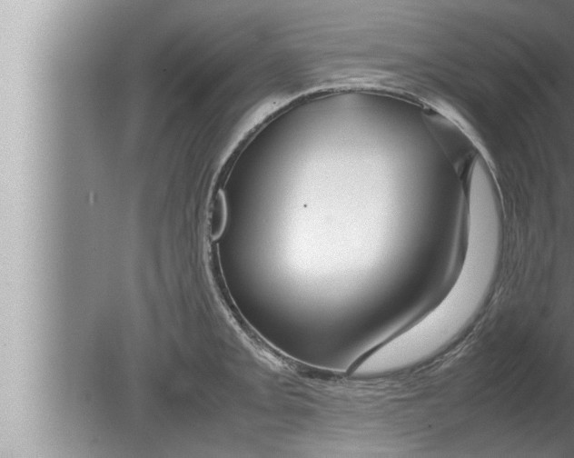 X0000080161093200612302147