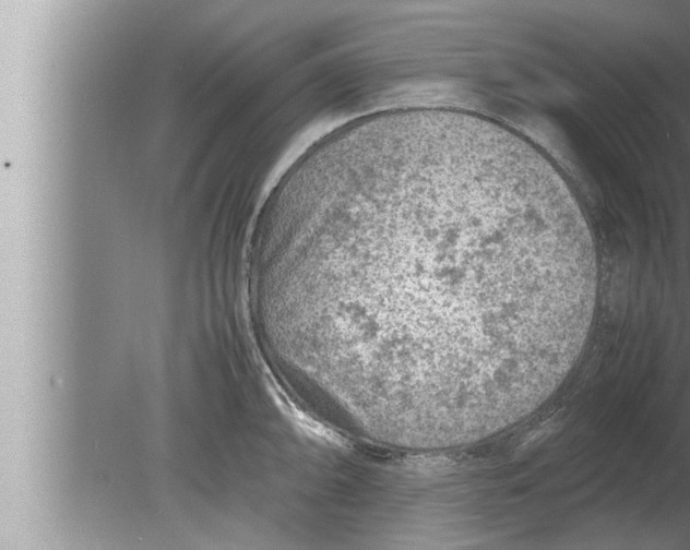 X0000080161094200612302147