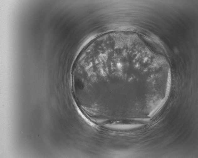 X0000080161095200612302147