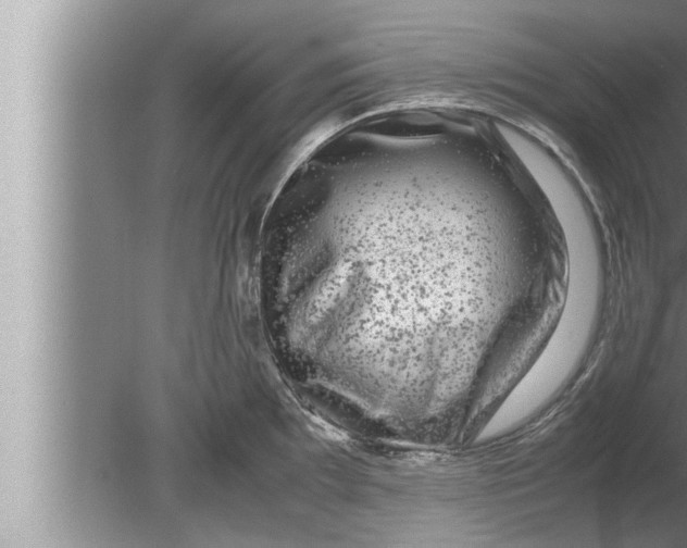 X0000080161097200612302147