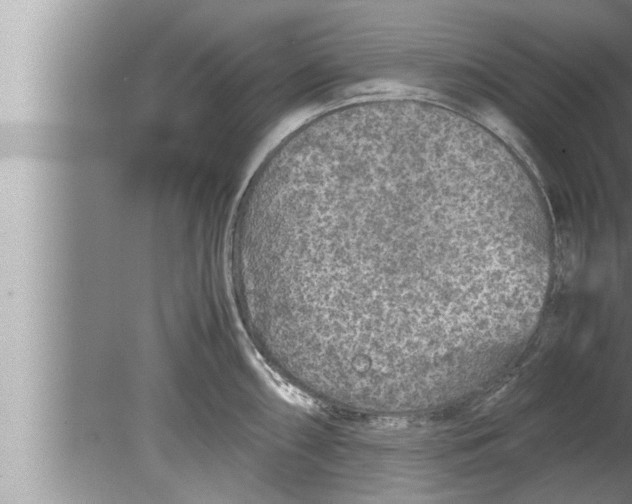 X0000080161098200612302147