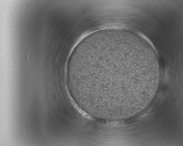 X0000080161099200612302147