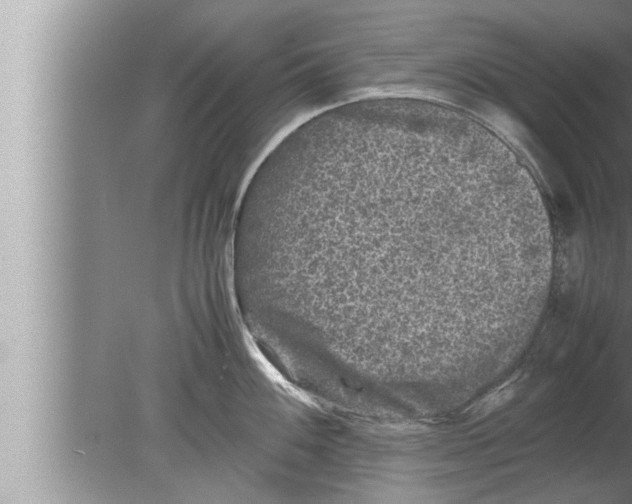 X0000080161100200612302147