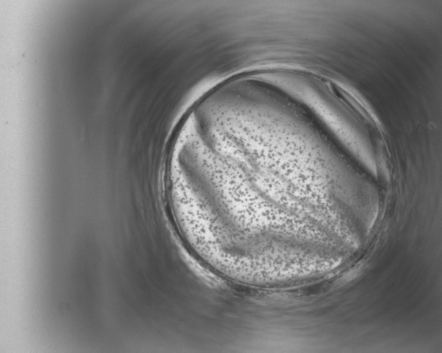 X0000080161101200612302147