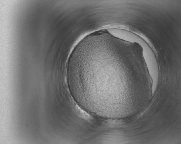 X0000080161102200612302147