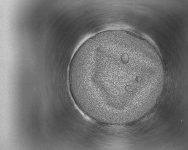 X0000080161103200612302147