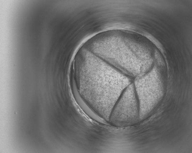 X0000080161104200612302147