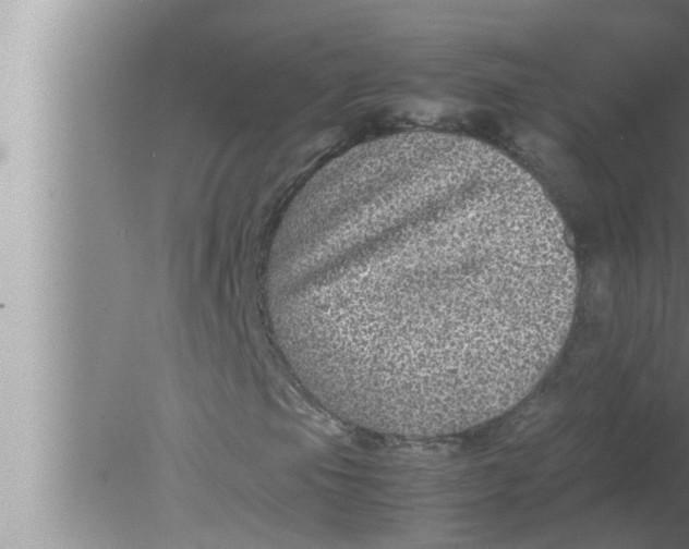 X0000080161105200612302146